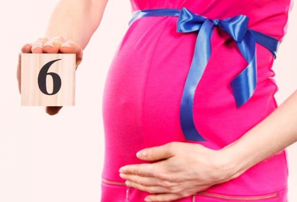 6 месяцев беременности