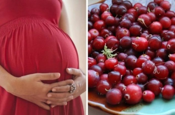 Можно ли пить клюквенный и брусничный морс беременным