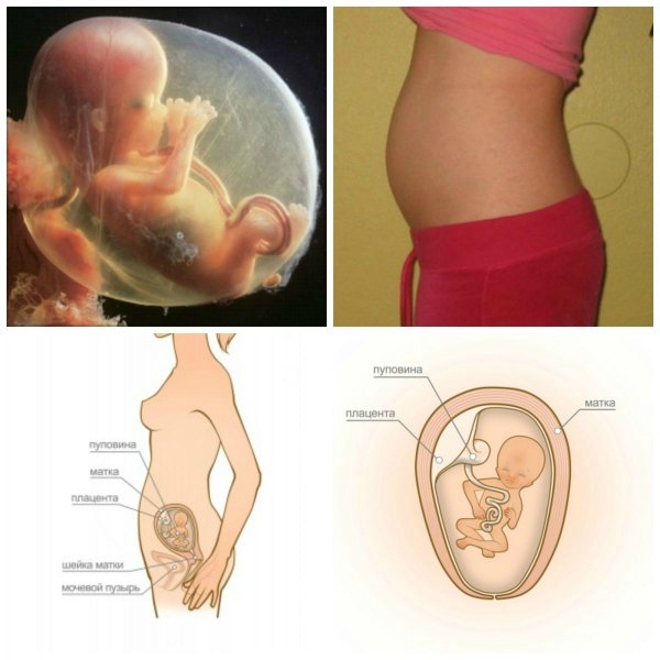 Причины боли в левом боку при беременности
